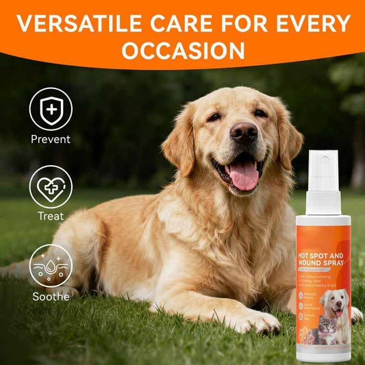 Pet Itch Relief Spray – Vet-recommended Quantum Silver Formula For Do… – ❤️ All