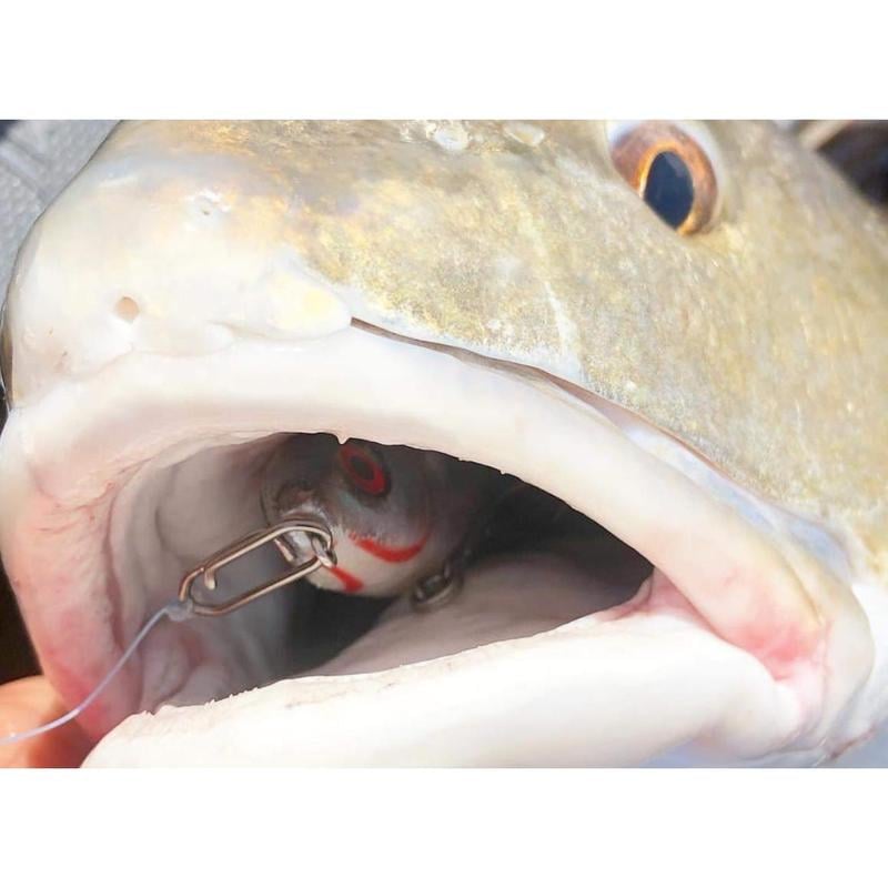 Stainless Steel Fishing Speed Clips – Stainless Steel | Fishing Speed… – 🐟