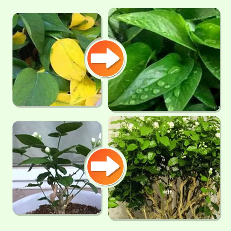 Slow-Release Plant Fertilizer Sticks – NPK Formula, 18 Sticks/Box | Indoor & Outdoor Plants