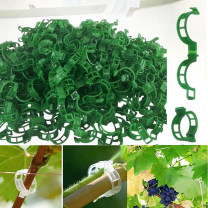Tomato Clips, Plastic Trellis Clips – Tomato Clips, | Plastic Trellis… – 📞