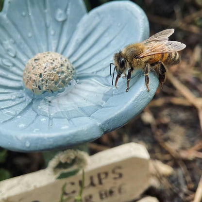 Flower-shaped Bee Watering Station – Flower-shaped Watering | Station… – Don't