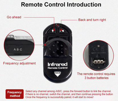 Remote Control Cockroach - Electric & Remote Control Toy – Remote Con… – The
