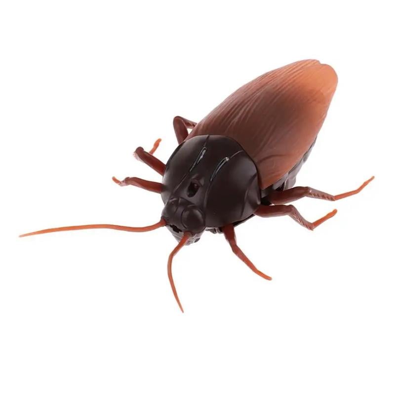 Remote Control Cockroach - Electric & Remote Control Toy – Remote Con… – The