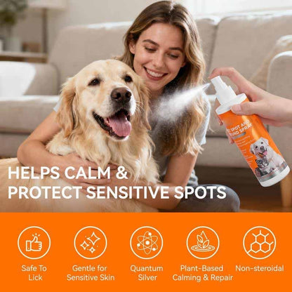 Pet Itch Relief Spray – Vet-recommended Quantum Silver Formula For Do… – ❤️ All