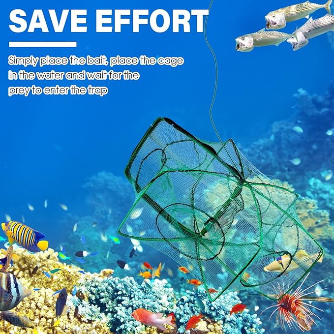Magic Foldable Fishing Trap Net – Magic Foldable | Fishing Trap | Eve… – 🎣 The