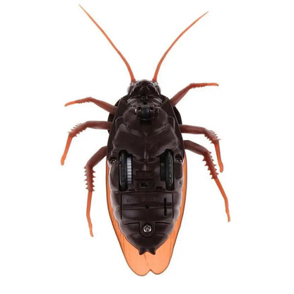 Remote Control Cockroach - Electric & Remote Control Toy – Remote Con… – The