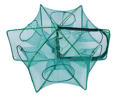 Magic Foldable Fishing Trap Net – Magic Foldable | Fishing Trap | Eve… – 🎣 The