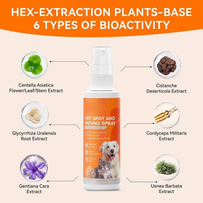 Pet Itch Relief Spray – Vet-recommended Quantum Silver Formula For Do… – ❤️ All